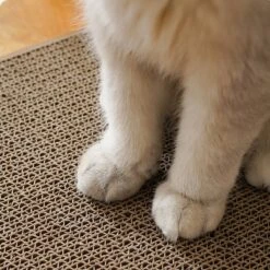 Verticale Muur Kat Krabplank Mini Size Slijtvaste Kat Krassen Schraper Voor Katten Training Slijpen Klauw Speelgoed -Merkloos Winkel 1200x1200 1290