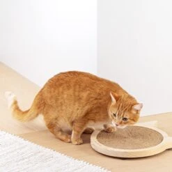 Navaris Houten Krabplank Voor Katten - Krabmat Van Hout En Sisal Voor Aan De Muur - In De Vorm Van Een Kattenkop - Te Bevestigen Met Zuignappen -Merkloos Winkel 1200x1200 1292