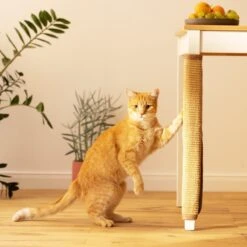 Navaris Sisal Katten Krabmat - Bescherming Van Meubels Tegen Krabben - Krabbescherming Voor Tafels En Stoelen- Gemakkelijk Aan Te Brengen 10 Navaris Sisal Katten Krabmat - Bescherming Van Meubels Tegen Krabben - Krabbescherming Voor Tafels En Stoelen- Gemakkelijk Aan Te Brengen -Merkloos Winkel 1200x1200 1299