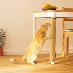 Navaris Sisal Katten Krabmat - Bescherming Van Meubels Tegen Krabben - Krabbescherming Voor Tafels En Stoelen- Gemakkelijk Aan Te Brengen 12 Navaris Sisal Katten Krabmat - Bescherming Van Meubels Tegen Krabben - Krabbescherming Voor Tafels En Stoelen- Gemakkelijk Aan Te Brengen -Merkloos Winkel 1200x1200 1301