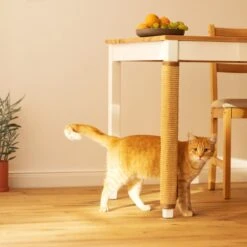 Navaris Sisal Katten Krabmat - Bescherming Van Meubels Tegen Krabben - Krabbescherming Voor Tafels En Stoelen- Gemakkelijk Aan Te Brengen 13 Navaris Sisal Katten Krabmat - Bescherming Van Meubels Tegen Krabben - Krabbescherming Voor Tafels En Stoelen- Gemakkelijk Aan Te Brengen -Merkloos Winkel 1200x1200 1302