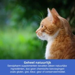 Sensipharm Gastro Entero Comfort Voor Kat, Hondje, Cavia, Konijn - Voedingssupplement Voor Maag En Darmen Bij Diarree En Overgeven - 90 Tabletten à 250 Mg 10 Sensipharm Gastro Entero Comfort Voor Kat, Hondje, Cavia, Konijn - Voedingssupplement Voor Maag En Darmen Bij Diarree En Overgeven - 90 Tabletten à 250 Mg -Merkloos Winkel 1200x1200 1338