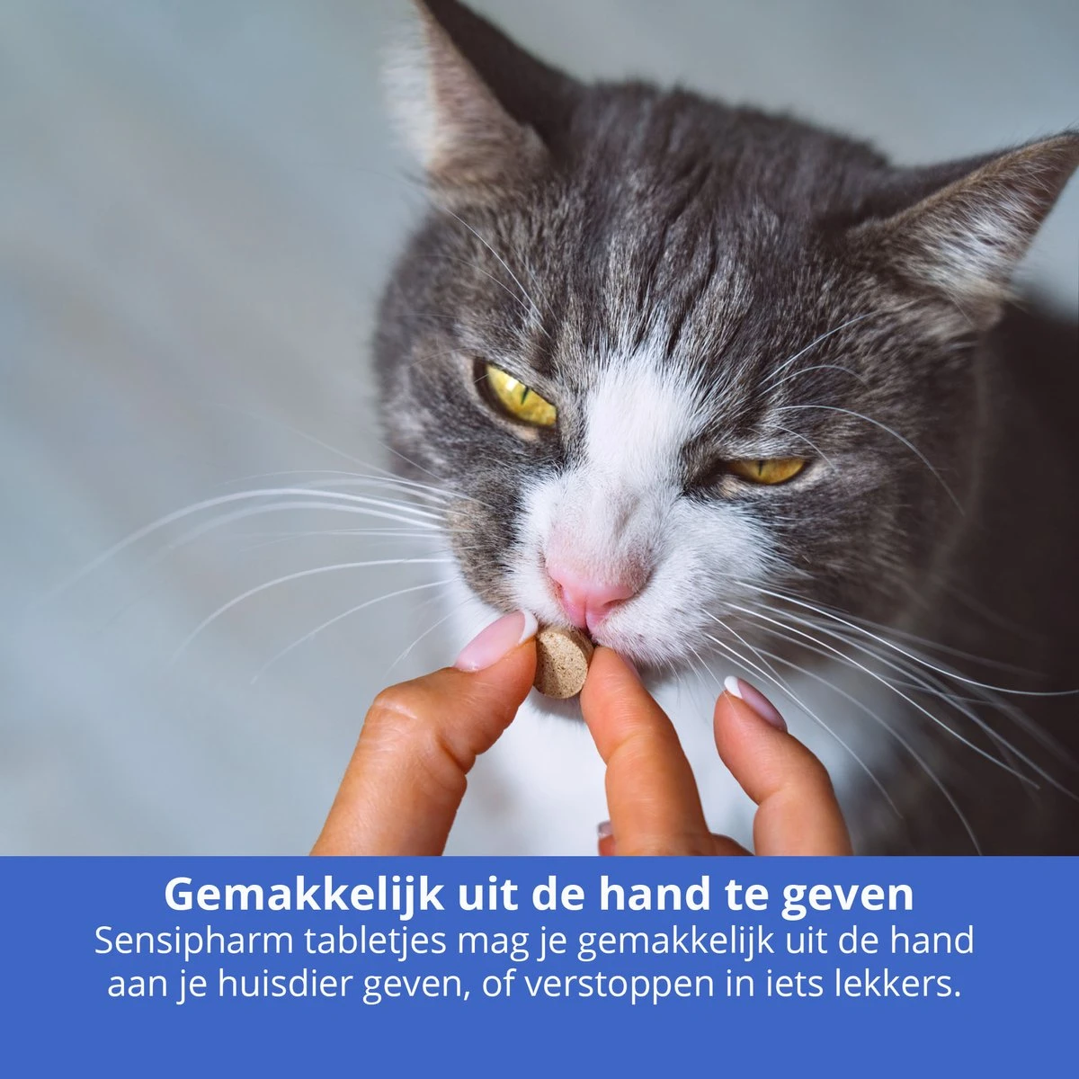 Sensipharm Gastro Entero Comfort Voor Kat, Hondje, Cavia, Konijn - Voedingssupplement Voor Maag En Darmen Bij Diarree En Overgeven - 90 Tabletten à 250 Mg 6 Sensipharm Gastro Entero Comfort Voor Kat, Hondje, Cavia, Konijn - Voedingssupplement Voor Maag En Darmen Bij Diarree En Overgeven - 90 Tabletten à 250 Mg - Afbeelding 6