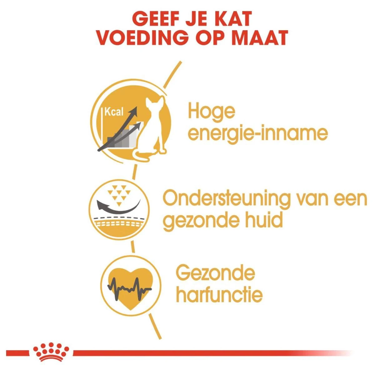 Royal Canin Sphynx Adult - Kattenvoer - 10 Kg 5 Royal Canin Sphynx Adult - Kattenvoer - 10 Kg - Afbeelding 5