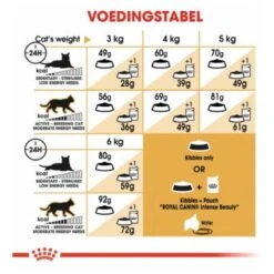 Royal Canin Sphynx Adult - Kattenvoer - 10 Kg 22 Royal Canin Sphynx Adult - Kattenvoer - 10 Kg -Merkloos Winkel 1200x1200 139