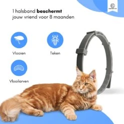 Essential Link Teken- En Vlooienband - Vlooienband Kat – Anti Vlooien – Vlooienmiddel - Tekenband - Diervriendelijk -Merkloos Winkel 1200x1200 14