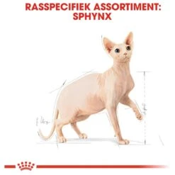 Royal Canin Sphynx Adult - Kattenvoer - 10 Kg 23 Royal Canin Sphynx Adult - Kattenvoer - 10 Kg -Merkloos Winkel 1200x1200 140