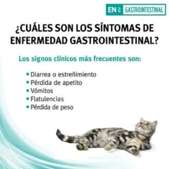 Pro Plan Veterinary Diets Feline Gastro-intestinal - Kattenvoer- 5kg -Merkloos Winkel 1200x1200 152