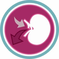 Purina ONE Urinary Care - Kip - Kattenvoer - 800 G 19 Purina ONE Urinary Care - Kip - Kattenvoer - 800 G -Merkloos Winkel 1200x1200 155