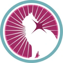 Purina ONE Urinary Care - Kip - Kattenvoer - 800 G 22 Purina ONE Urinary Care - Kip - Kattenvoer - 800 G -Merkloos Winkel 1200x1200 156