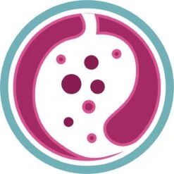 Purina ONE Urinary Care - Kip - Kattenvoer - 800 G 23 Purina ONE Urinary Care - Kip - Kattenvoer - 800 G -Merkloos Winkel 1200x1200 157