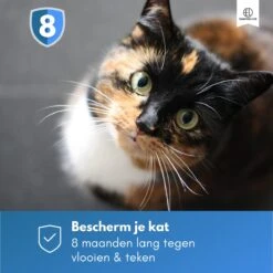 Essential Link Teken- En Vlooienband - Vlooienband Kat – Anti Vlooien – Vlooienmiddel - Tekenband - Diervriendelijk -Merkloos Winkel 1200x1200 16