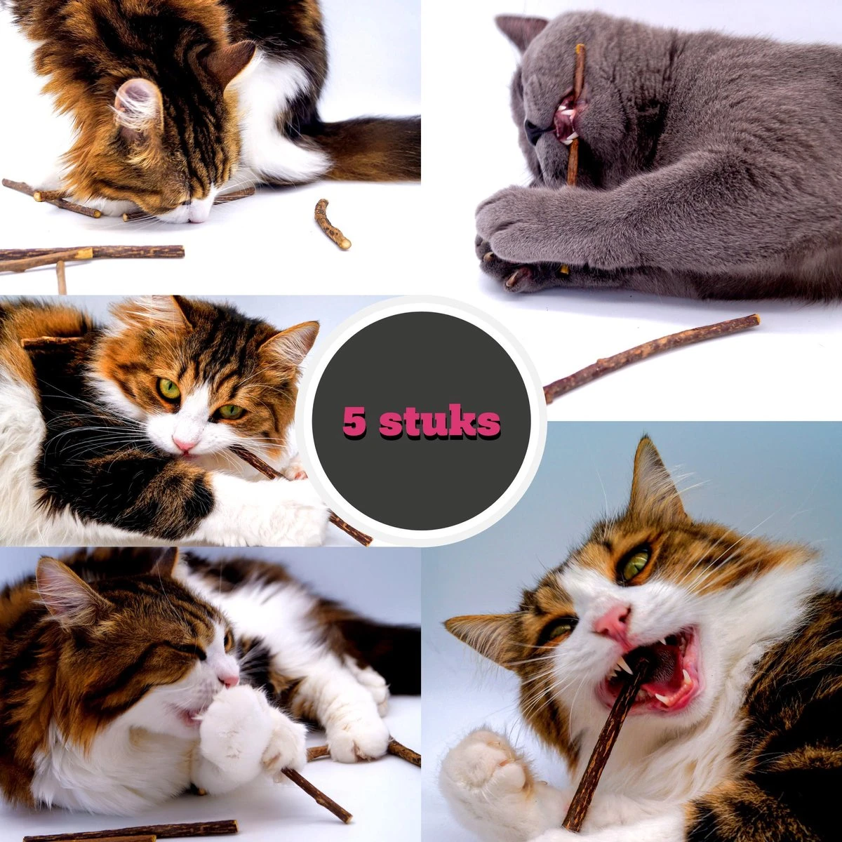 Make Me Purr Matatabi Sticks (5 Stuks) - Silver Vine Kattenkruid Stokjes - Catnip Effect Kauwstokjes - Kattensnack Kattensnoepjes - Kattenspeelgoed Kattenspeeltjes 1 Make Me Purr Matatabi Sticks (5 Stuks) - Silver Vine Kattenkruid Stokjes - Catnip Effect Kauwstokjes - Kattensnack Kattensnoepjes - Kattenspeelgoed Kattenspeeltjes