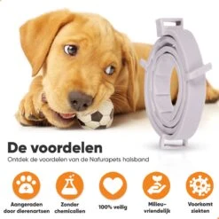 Nafurapets Vlooienband Voor Hond – Anti Vlooien – Teken Band – 100% Natuurlijk – 8 Maanden Bescherming – Grote & Kleine Hond -Merkloos Winkel 1200x1200 19
