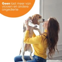 Nafurapets Vlooienband Voor Hond – Anti Vlooien – Teken Band – 100% Natuurlijk – 8 Maanden Bescherming – Grote & Kleine Hond -Merkloos Winkel 1200x1200 22