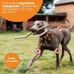 Nafurapets Vlooienband Voor Hond – Anti Vlooien – Teken Band – 100% Natuurlijk – 8 Maanden Bescherming – Grote & Kleine Hond -Merkloos Winkel 1200x1200 23