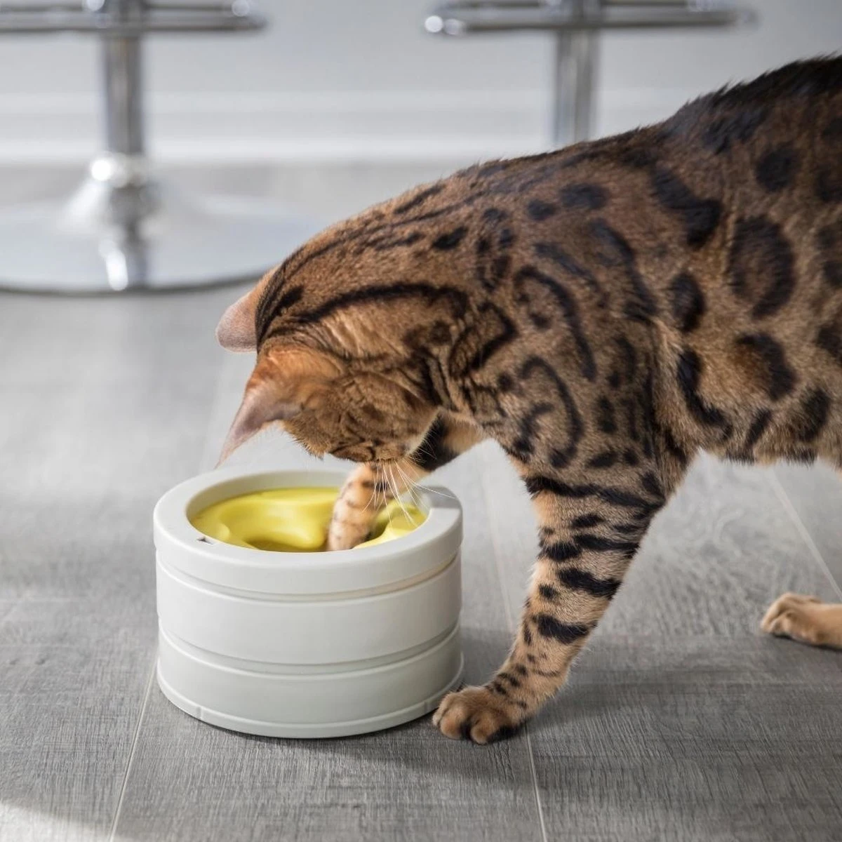 BeOneBreed Intellikatt - Slowfeeder Voor Katten - Voerpuzzel Aanbevolen Door Dierenartsen En Kattengedragsdeskundigen 1 BeOneBreed Intellikatt - Slowfeeder Voor Katten - Voerpuzzel Aanbevolen Door Dierenartsen En Kattengedragsdeskundigen