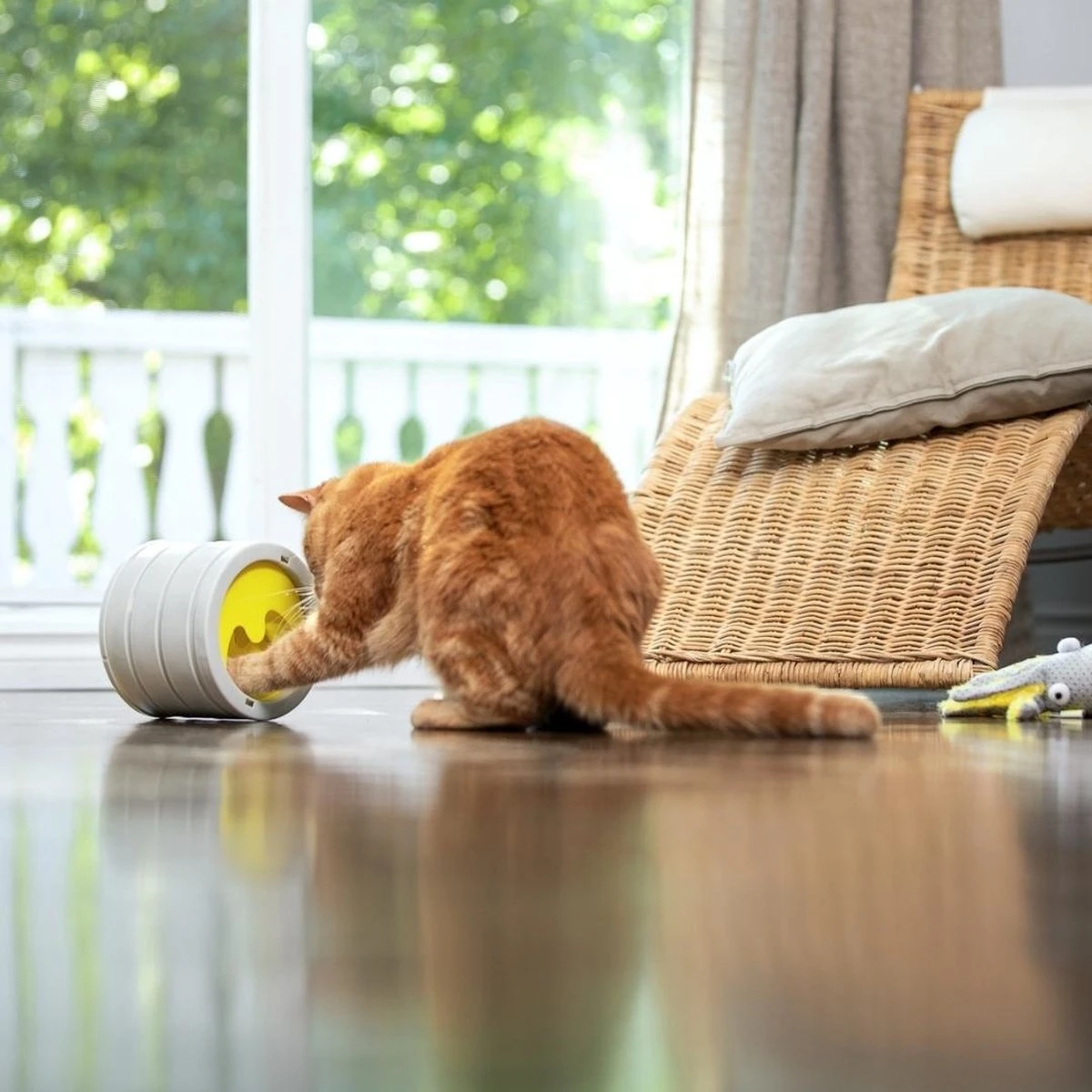 BeOneBreed Intellikatt - Slowfeeder Voor Katten - Voerpuzzel Aanbevolen Door Dierenartsen En Kattengedragsdeskundigen 4 BeOneBreed Intellikatt - Slowfeeder Voor Katten - Voerpuzzel Aanbevolen Door Dierenartsen En Kattengedragsdeskundigen - Afbeelding 4