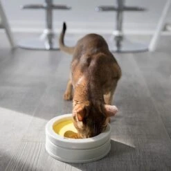 BeOneBreed Intellikatt - Slowfeeder Voor Katten - Voerpuzzel Aanbevolen Door Dierenartsen En Kattengedragsdeskundigen 17 BeOneBreed Intellikatt - Slowfeeder Voor Katten - Voerpuzzel Aanbevolen Door Dierenartsen En Kattengedragsdeskundigen -Merkloos Winkel 1200x1200 245