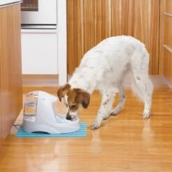 Petsafe Drinkwell Platinum - Drinkfontein - 5 L -Merkloos Winkel 1200x1200 262