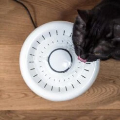 TrevoPet® Drinkfontein Kat - Waterfontein Kat - Kattenfontein - Fluisterstil - Drinkfontein - Drinkbak Kat - 2.5 Liter - Inclusief Filter - Wit -Merkloos Winkel 1200x1200 273