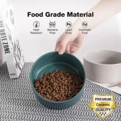 GIZMO 2x Voerbak Kat - 400 Ml - Groen - Keramische Drink- & Voerbakken Met Standaard - 13 Cm - 2 Stuks 16 GIZMO 2x Voerbak Kat - 400 Ml - Groen - Keramische Drink- & Voerbakken Met Standaard - 13 Cm - 2 Stuks -Merkloos Winkel 1200x1200 276