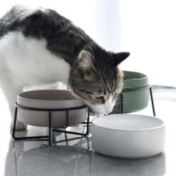 GIZMO 2x Voerbak Kat - 400 Ml - Groen - Keramische Drink- & Voerbakken Met Standaard - 13 Cm - 2 Stuks 22 GIZMO 2x Voerbak Kat - 400 Ml - Groen - Keramische Drink- & Voerbakken Met Standaard - 13 Cm - 2 Stuks -Merkloos Winkel 1200x1200 279