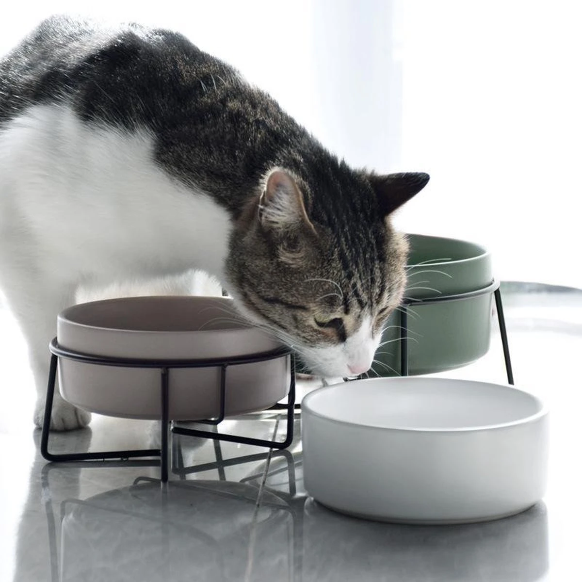GIZMO 2x Voerbak Kat - 400 Ml - Groen - Keramische Drink- & Voerbakken Met Standaard - 13 Cm - 2 Stuks 11 GIZMO 2x Voerbak Kat - 400 Ml - Groen - Keramische Drink- & Voerbakken Met Standaard - 13 Cm - 2 Stuks - Afbeelding 11