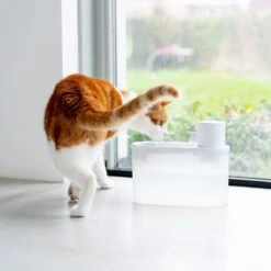Hoopo® Agua - DRAADLOZE Waterfontein Katten - SMART Waterfontein Katten - UVC Disinfectie - 2 Liter - Automatische Katten Fontein -Merkloos Winkel 1200x1200 282