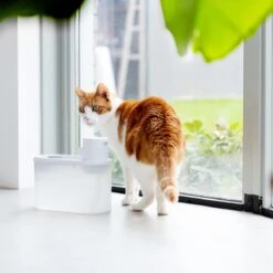 Hoopo® Agua - DRAADLOZE Waterfontein Katten - SMART Waterfontein Katten - UVC Disinfectie - 2 Liter - Automatische Katten Fontein -Merkloos Winkel 1200x1200 283