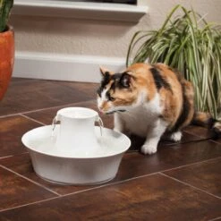 Petsafe Drinkwell Ceramic Avalon - Drinkfontein - 2 L -Merkloos Winkel 1200x1200 291