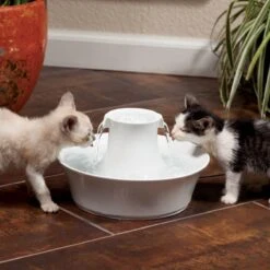 Petsafe Drinkwell Ceramic Avalon - Drinkfontein - 2 L -Merkloos Winkel 1200x1200 292