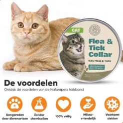 Nafurapets Vlooienband Voor Kat – Anti Vlooien – Teken Band – 100% Natuurlijk – 8 Maanden Bescherming – Grote & Kleine Kat 13 Nafurapets Vlooienband Voor Kat – Anti Vlooien – Teken Band – 100% Natuurlijk – 8 Maanden Bescherming – Grote & Kleine Kat -Merkloos Winkel 1200x1200 34