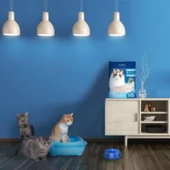 Nobleza 48REM - Tofu Kattenbakvulling - Snel Absorberend - 3.8 L - Klontvormend - 2 Kg 12 Nobleza 48REM - Tofu Kattenbakvulling - Snel Absorberend - 3.8 L - Klontvormend - 2 Kg -Merkloos Winkel 1200x1200 342