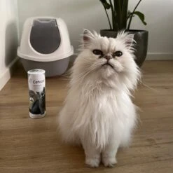 Catuals Kattenbakvulling Geurverdrijver - Neutraliseert Urinegeur Van Katten - Baby Care - 1kg -Merkloos Winkel 1200x1200 351
