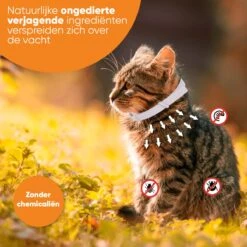 Nafurapets Vlooienband Voor Kat – Anti Vlooien – Teken Band – 100% Natuurlijk – 8 Maanden Bescherming – Grote & Kleine Kat 15 Nafurapets Vlooienband Voor Kat – Anti Vlooien – Teken Band – 100% Natuurlijk – 8 Maanden Bescherming – Grote & Kleine Kat -Merkloos Winkel 1200x1200 36