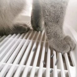 YA Products Kattenbak Space Series - Grote Kattenbak - Kattenbak Met Lade Inclusief Schep -Merkloos Winkel 1200x1200 374