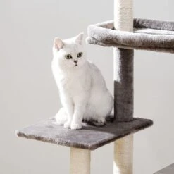 Signature Home Catty Krabpaal Met Kattenbak - Kattenbakkast - Kattenhuis Met Deur En Slot - Krabpalen Met Hangmat Mand Katten Huis - Kattenbakmeubel Verborgen - Alles-in-één Kattenspeelgoed Met Kattenhuis - Grijs - 60cm X 150cm X 48cm -Merkloos Winkel 1200x1200 388