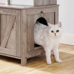 Signature Home Catty Krabpaal Met Kattenbak - Kattenbakkast - Kattenhuis Met Deur En Slot - Krabpalen Met Hangmat Mand Katten Huis - Kattenbakmeubel Verborgen - Alles-in-één Kattenspeelgoed Met Kattenhuis - Grijs - 60cm X 150cm X 48cm -Merkloos Winkel 1200x1200 391