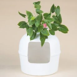 XXL Kattenbak – Verborgen Kattentoilet – Flower XXL Wit Voor Grote Katten Van RHRQuality 15 XXL Kattenbak – Verborgen Kattentoilet – Flower XXL Wit Voor Grote Katten Van RHRQuality -Merkloos Winkel 1200x1200 399