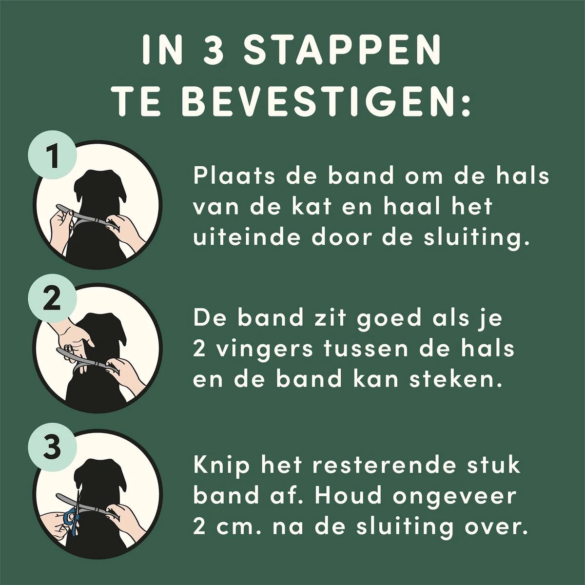 3 Stuks Vlooienband Kat Tekenband - 100% Natuurlijk Veilig En Waterbestendig 5 3 Stuks Vlooienband Kat Tekenband - 100% Natuurlijk Veilig En Waterbestendig - Afbeelding 5