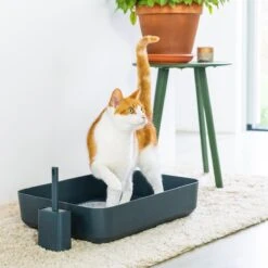 Hoopo® Poh Kattenbak Grijs - Open Kattenbak - Design Kattenbak - Kattenbakschep - 50x37.5x12.7 Cm - Grote Kattenbak 8 Hoopo® Poh Kattenbak Grijs - Open Kattenbak - Design Kattenbak - Kattenbakschep - 50x37.5x12.7 Cm - Grote Kattenbak -Merkloos Winkel 1200x1200 419