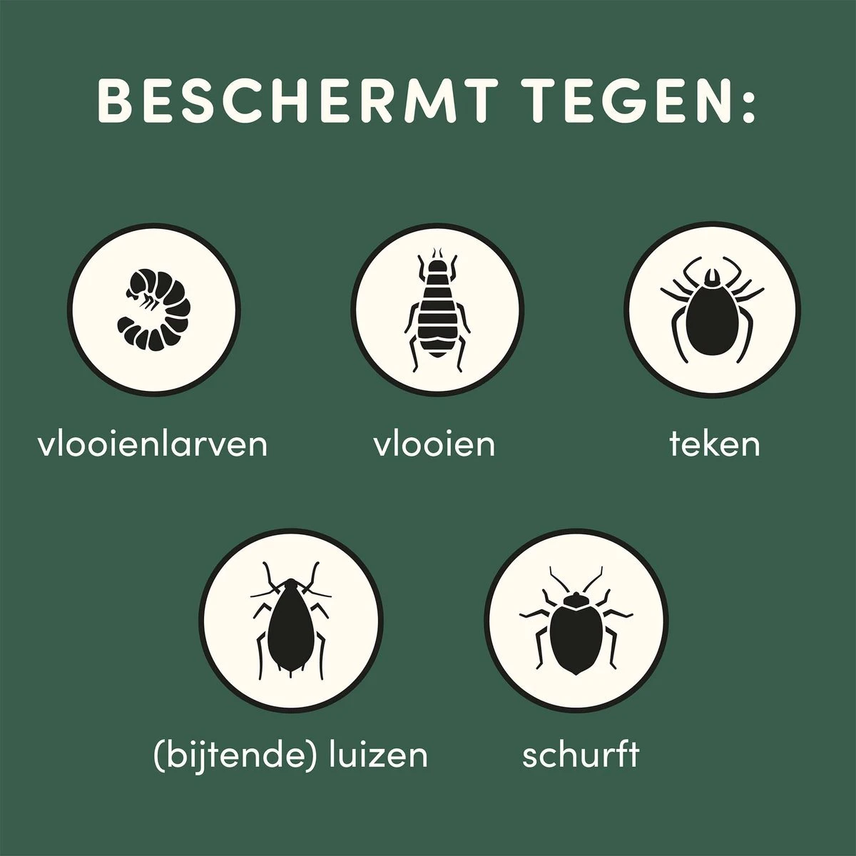 3 Stuks Vlooienband Kat Tekenband - 100% Natuurlijk Veilig En Waterbestendig 8 3 Stuks Vlooienband Kat Tekenband - 100% Natuurlijk Veilig En Waterbestendig - Afbeelding 8