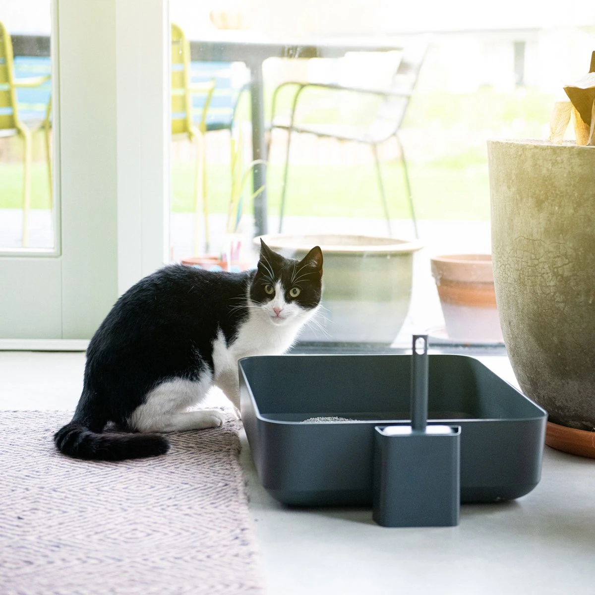 Hoopo® Poh Kattenbak Grijs - Open Kattenbak - Design Kattenbak - Kattenbakschep - 50x37.5x12.7 Cm - Grote Kattenbak 4 Hoopo® Poh Kattenbak Grijs - Open Kattenbak - Design Kattenbak - Kattenbakschep - 50x37.5x12.7 Cm - Grote Kattenbak - Afbeelding 4