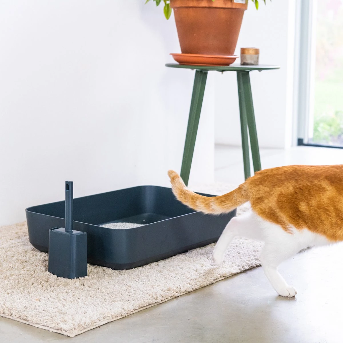 Hoopo® Poh Kattenbak Grijs - Open Kattenbak - Design Kattenbak - Kattenbakschep - 50x37.5x12.7 Cm - Grote Kattenbak 6 Hoopo® Poh Kattenbak Grijs - Open Kattenbak - Design Kattenbak - Kattenbakschep - 50x37.5x12.7 Cm - Grote Kattenbak - Afbeelding 6