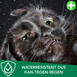 Teken- En Vlooienband Voor Katten PLUS - Natuurlijk Middel Tegen Vlooien En Teken - 100% Natuurlijk - 38,5 CM - Tot 8 Maand Werkzaam - Biologisch 7 Teken- En Vlooienband Voor Katten PLUS - Natuurlijk Middel Tegen Vlooien En Teken - 100% Natuurlijk - 38,5 CM - Tot 8 Maand Werkzaam - Biologisch -Merkloos Winkel 1200x1200 43