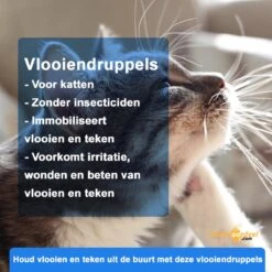 Anti-parasitaire Druppels Tegen Vlooien, Teken, Mijten En Luizen - Voor Katten Vanaf 12 Weken -Merkloos Winkel 1200x1200 44