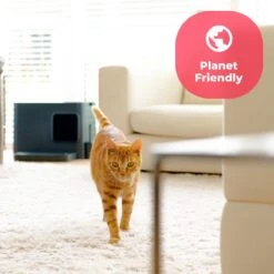 Hoopo® Dome Plus Kattenbak Grijs - Kattenbak - Kattenbakschep - 50x37.5x38cm - Grote Kattenbak 17 Hoopo® Dome Plus Kattenbak Grijs - Kattenbak - Kattenbakschep - 50x37.5x38cm - Grote Kattenbak -Merkloos Winkel 1200x1200 463