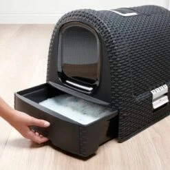 Curver Kattenbak - Antraciet - 51 X 38,5 X 39,5 Cm -Merkloos Winkel 1200x1200 470