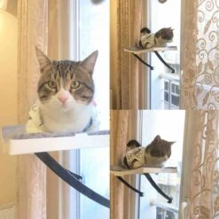 Hobipets - Kattenmand Raam - 5 Zuignappen - Hangmat Kat Raam -Merkloos Winkel 1200x1200 484